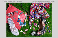 Click for the portfolio on Lillian Torrado